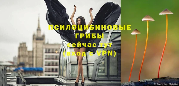 мдпв Касимов