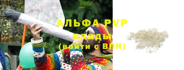 мдпв Касимов