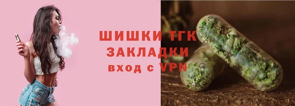 МДПВ Карпинск
