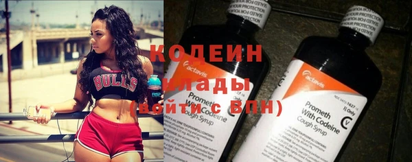 МДПВ Карпинск